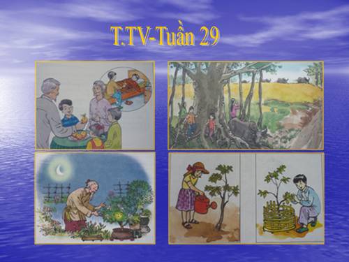 tranh TV2-Tuần 29