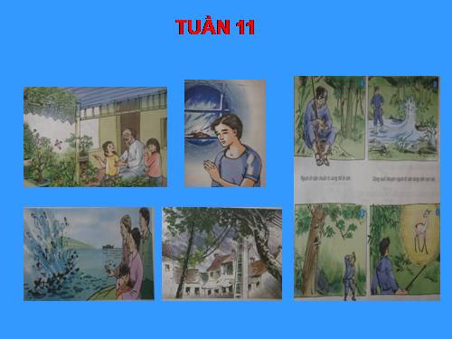 TranhTV5- Tuân11
