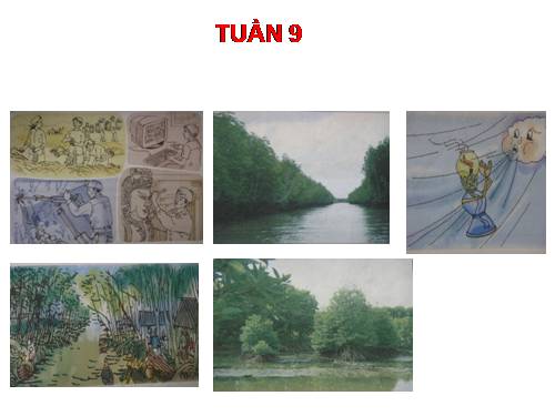Tranh TV5- Tuần 9