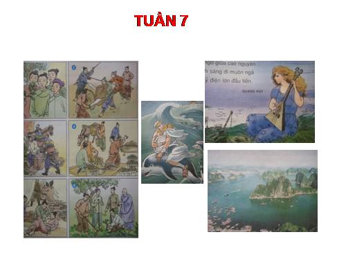 Tranh TV5 Tuần 7