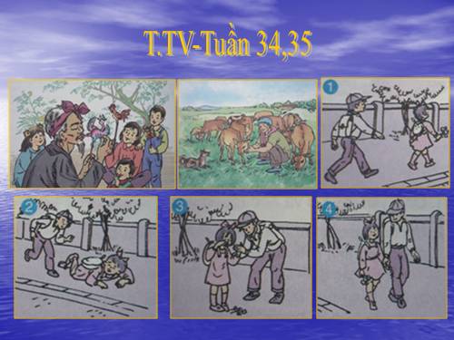 Tranh TV2-Tuần 34,35