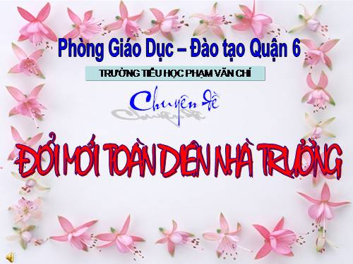 Đổi mới toàn diện nhà trường
