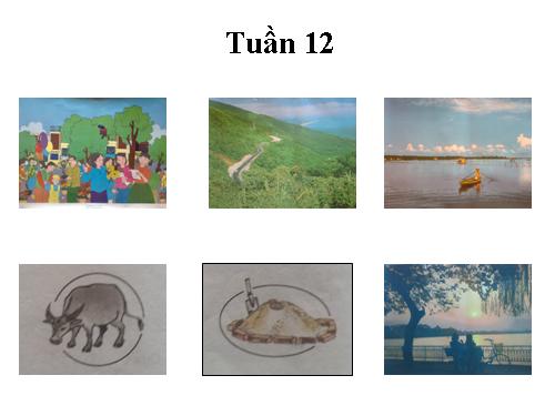 Tranh Tiếng Việt 3 tuần 12- 14- 15- 16