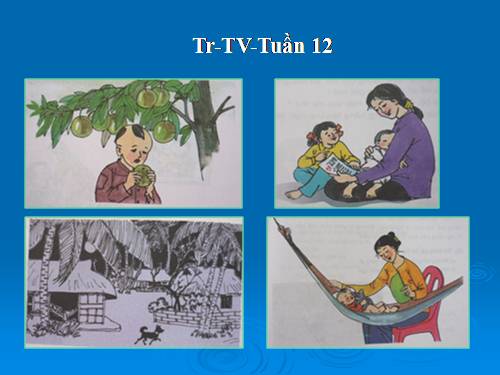 Tranh TV2-Tuần 12