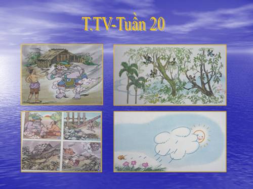 Tranh TV2-Tuần 20