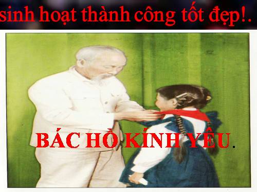 Sinh hoạt Sao Nhi đồng