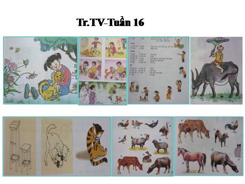 tranh TV2-tuần 16