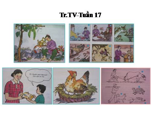 Tranh TV2-Tuần 17