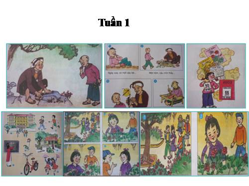 Tranh TV2-Tuấn