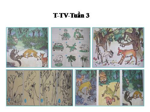 Tranh TV2-Tuần 3