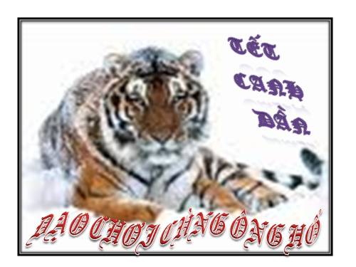 TET CANH DAN XEM TRANH TIGER