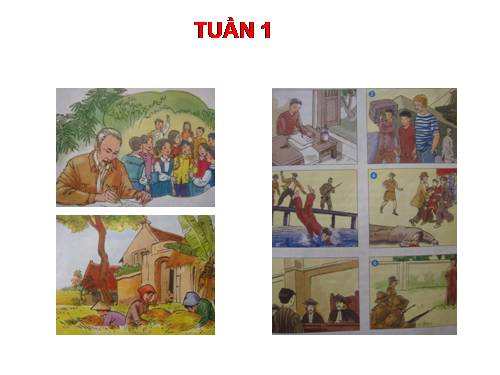 Tranh TV5 Tuần 1