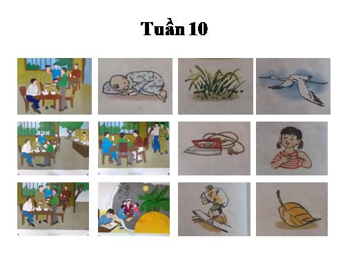 Tranh Tiếng Việt 3 tuần 10