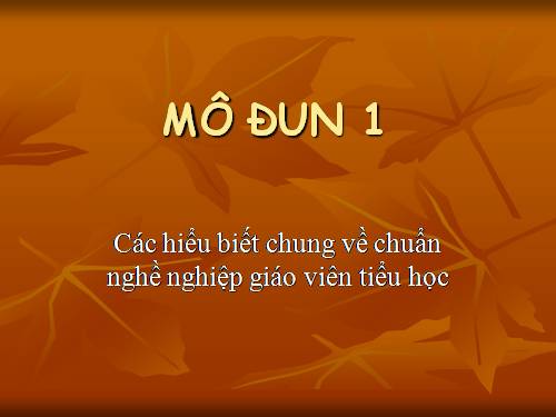 chuẩn NN GV tiểu học