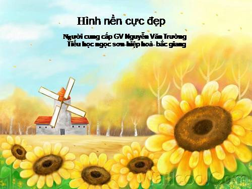 Hình nền tuyệt đep_NTP