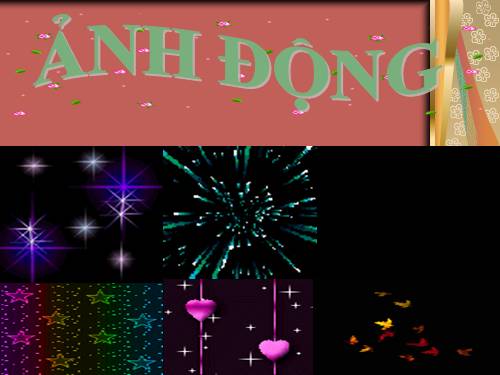 ANH DONG