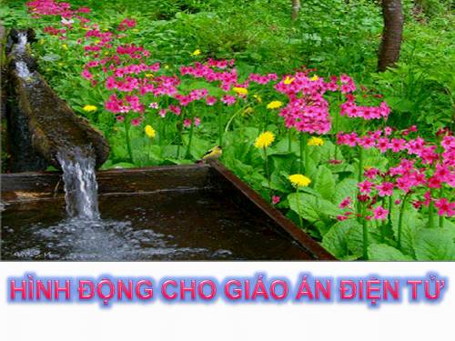 Hình động