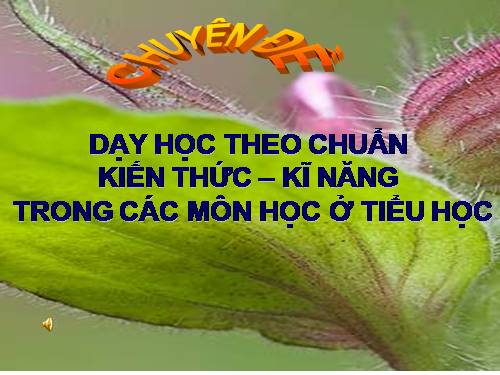 chuan kien thuc ky nang tieu hoc ( tat ca cac mon)