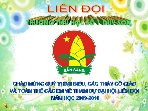 Dại hội liên đội