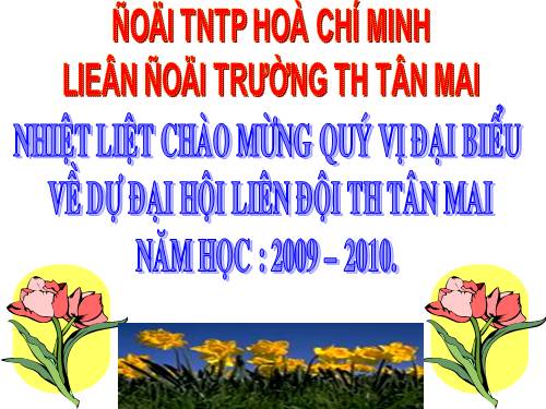 DAI HOI LIEN DOI