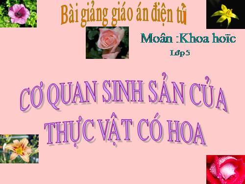 KH 5: Cơ quan sinh sản thực vật có hoa