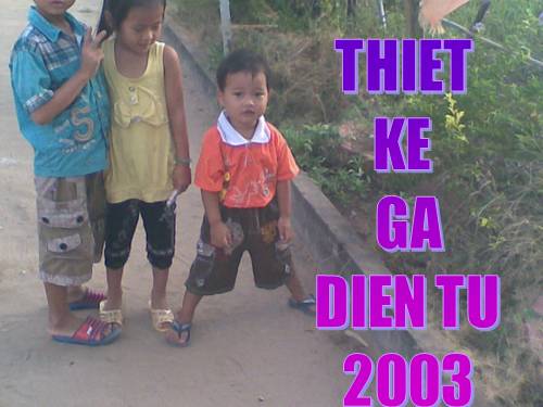 HUONG DA SU DUNG GA DIEN TU 2003