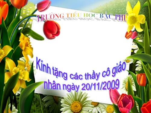 KINH TANG THAY CO 20-11