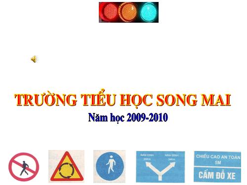 hoithiantoangiaothongthanhsongmai