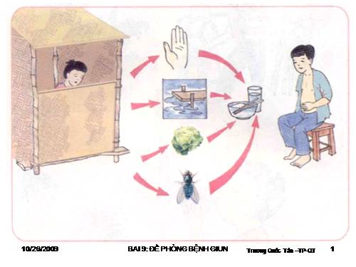 TN-XH 2 (BÀI 9) ĐỀ PHÒNG BỆNH GIUN