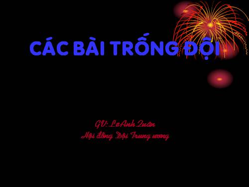 Giao an Bai trong Doi