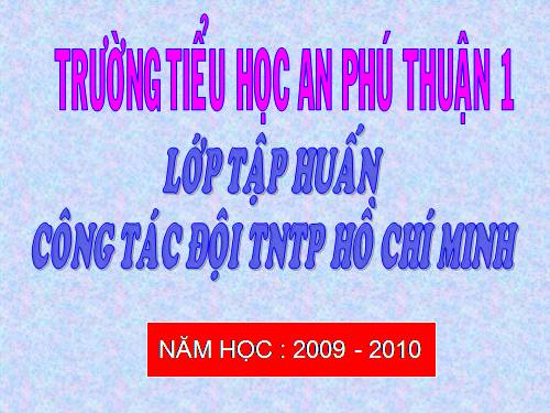 ĐỘI TNTP HỒ CHÍ MINH