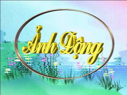 Anh dong trang tri