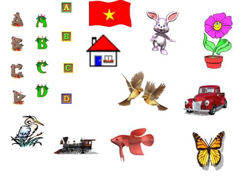 ANH DONG 4