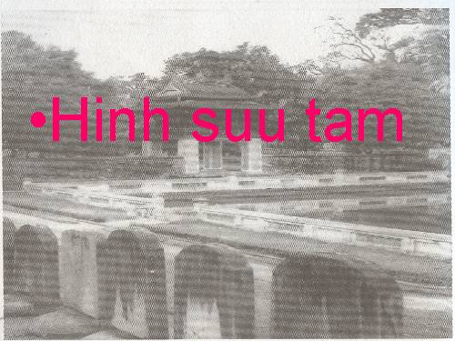 hinh suu tam
