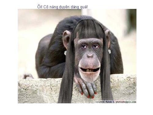 Những  hình ảnh gây cười ấn tượng trong tuần