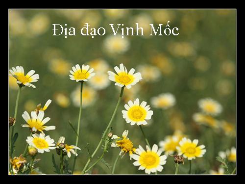 Địa đạo Vịnh Mốc