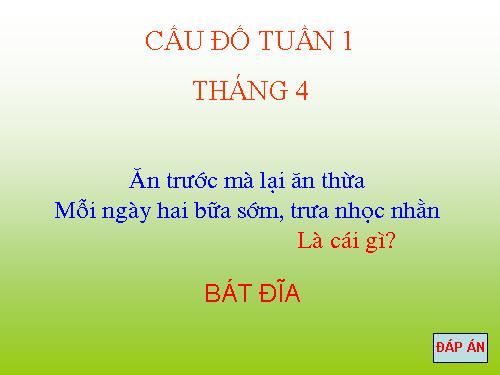 Câu đố 1