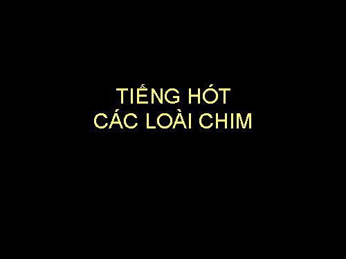 Tiếng hót một số loài chim