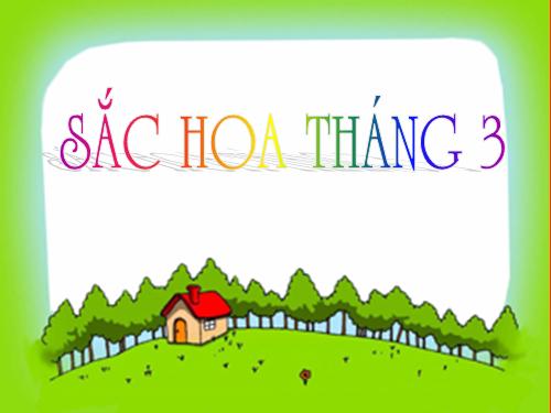 Sac hoa thang 3