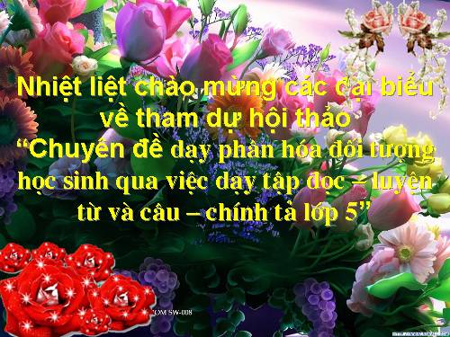 Tap doc_LT&C_Chinh ta