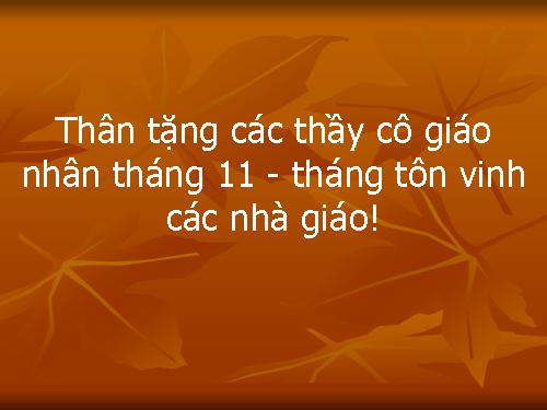 Bộ sưu tập hoa phong lan