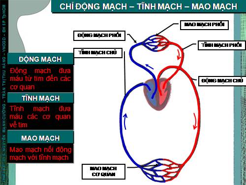 dịa lí 4