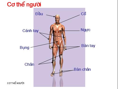 CoTheNguoi