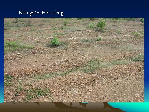 Hình ảnh môi trường đất