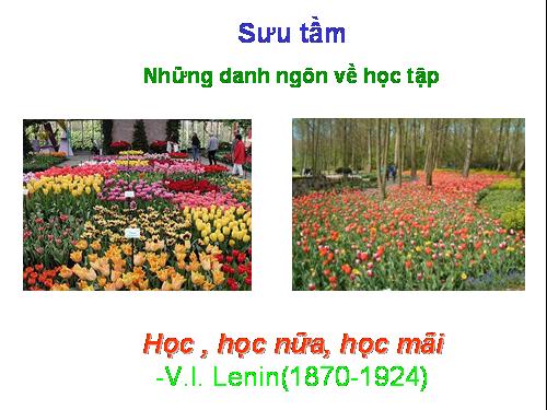 Sưu tầm