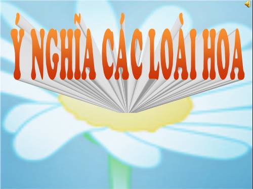 Ý nghĩa các loài hoa