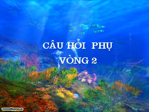 Hội thi :"Tuổi thơ thông minh" (Câu hỏi phụ phần 2)