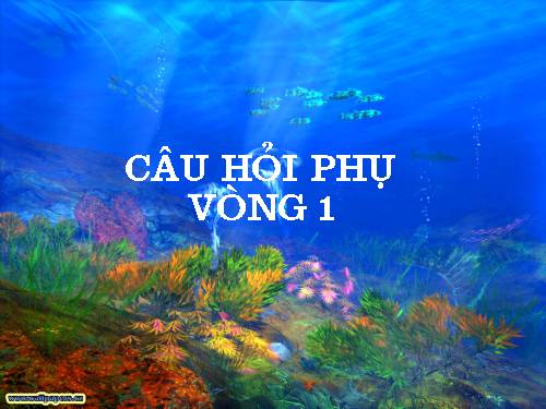 Hội thi :"Tuổi thơ thông minh" (Câu hỏi phụ phần 1)
