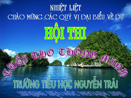 Hội thi :"Tuổi thơ thông minh" (Phần 1)