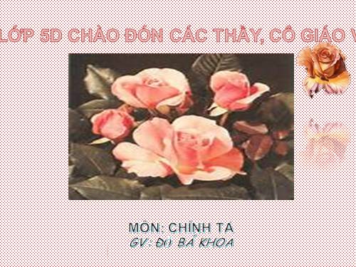 Tuần 4. Nghe-viết: Anh Bộ đội Cụ Hồ gốc Bỉ